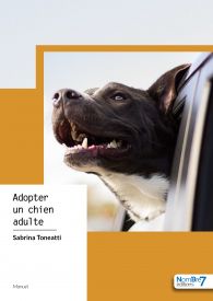 Adopter un chien adulte