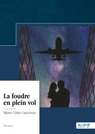 La foudre en plein vol