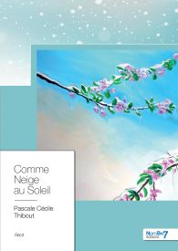 Comme Neige au Soleil
