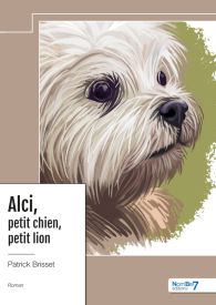 Alci, petit chien, petit lion