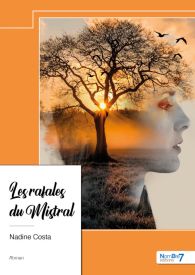 Les rafales du Mistral