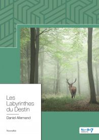 Les Labyrinthes du Destin